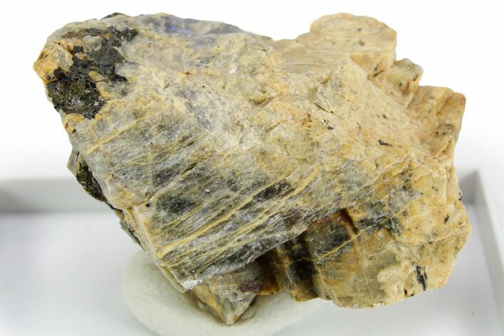Adularescent Anorthoclase Moonstone Specimen - Norway #380385